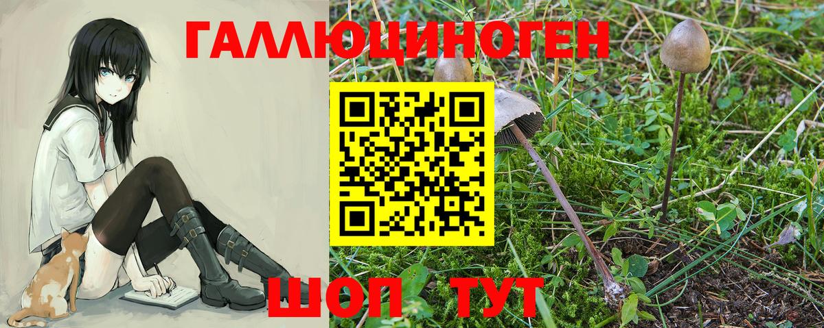 COCAIN  Партизанск  Вход с VPN  Мефедрон   Конопля  Гашиш 