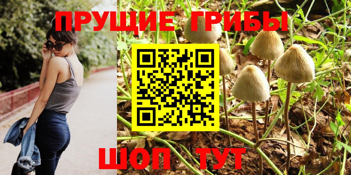 Псилоцибиновые грибы ЛСД Партизанск