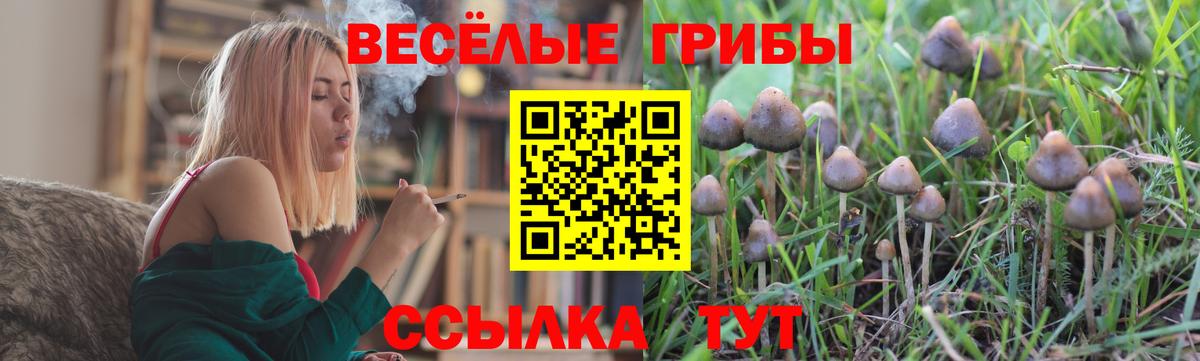 Галлюциногенные грибы Cubensis  Вход с VPN  Псилоцибиновые грибы мицелий  Партизанск 